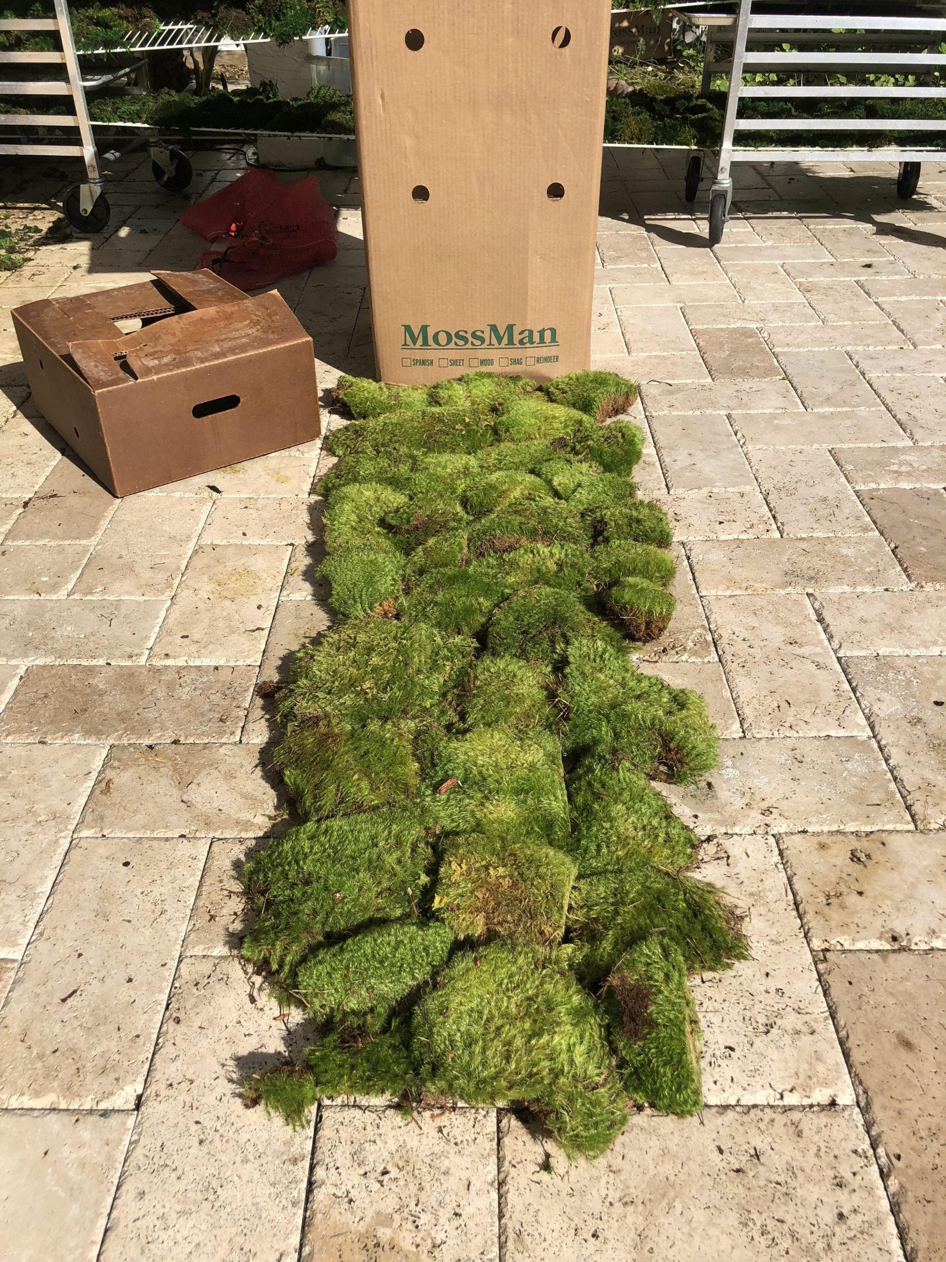 MOSS SHEET BOX