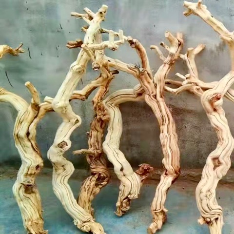 driftwood type shape, no bark, light color, white/wheat