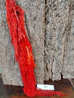 Amaranthus Preserved Red