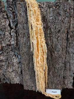 Peach Preserved Amaranthus Cascade