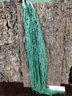 Amaranthus Mint Cascade