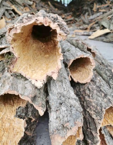 Rolled Cork Bark Log