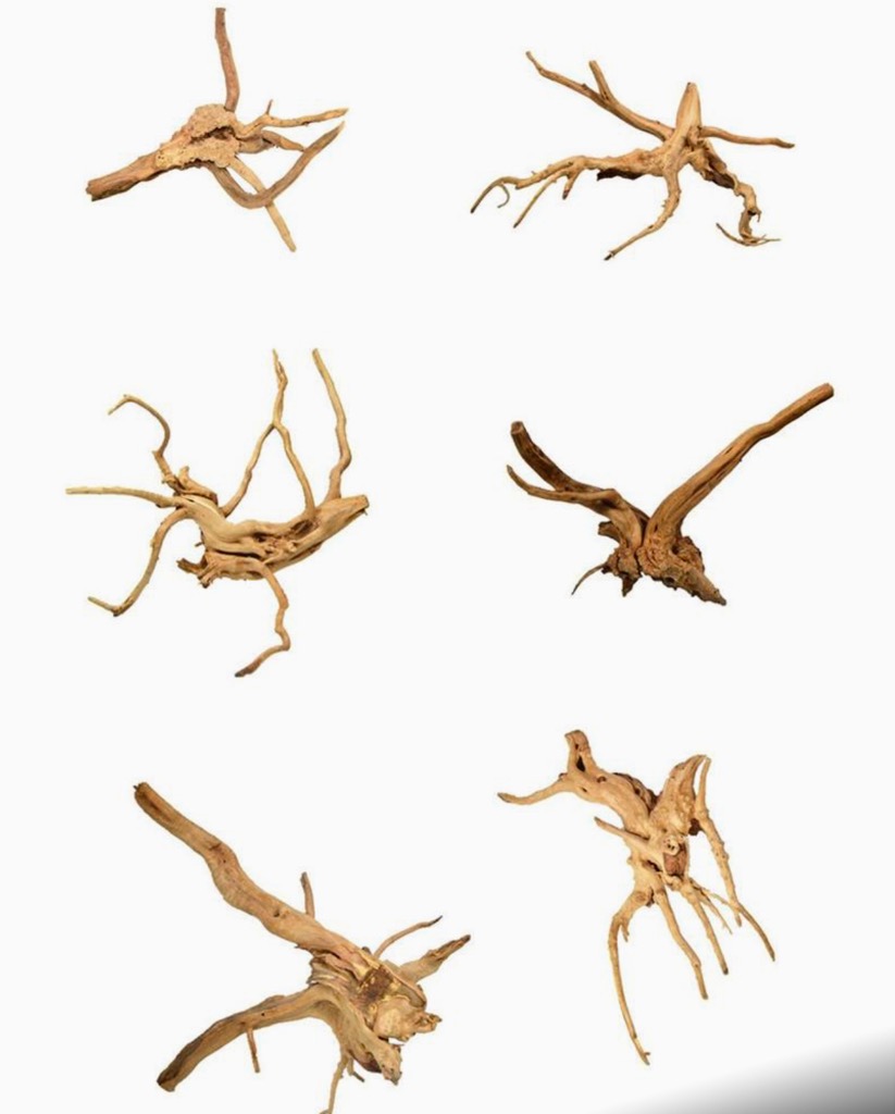 These long leggy branches reach out to grab attention and add dimension to your display. Each piece is natural and unique. Small Spider wood 6-7”, Large is 12-14” in length with branches at ½ inch to ¾ in width.